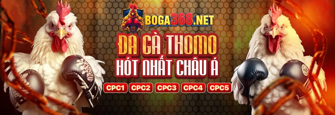 Đá Gà Trực Tuyến Hấp Dẫn tại hello88 Gem